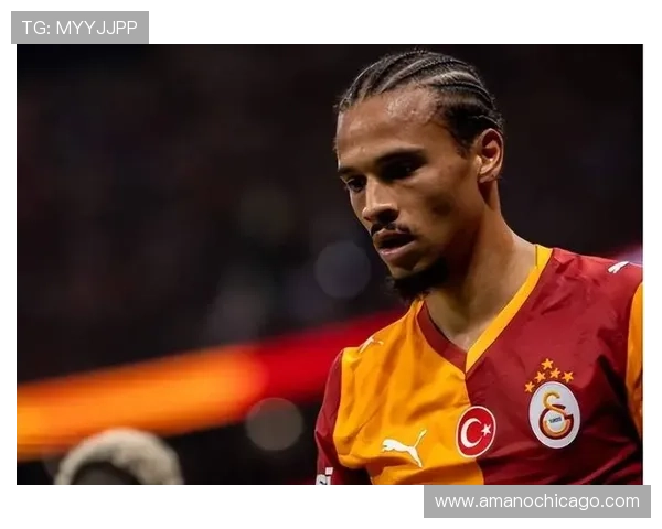 萨内职业生涯亮点