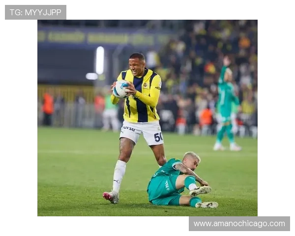 费内巴切阵容深度