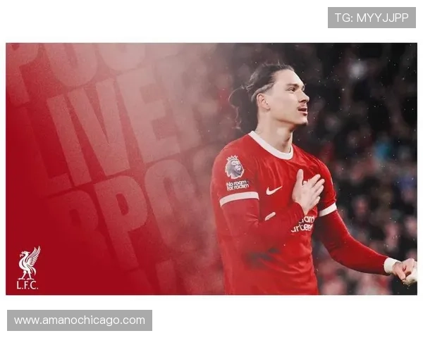 努涅斯能否达到世界级前锋上限